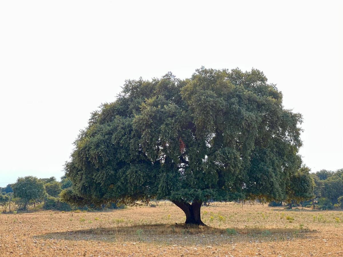 Casa La Colmena Ávila المظهر الخارجي الصورة